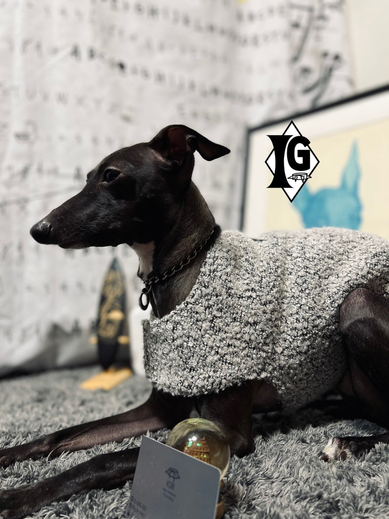 "I'm so picky" Tweed Vest-WHITE GRAY