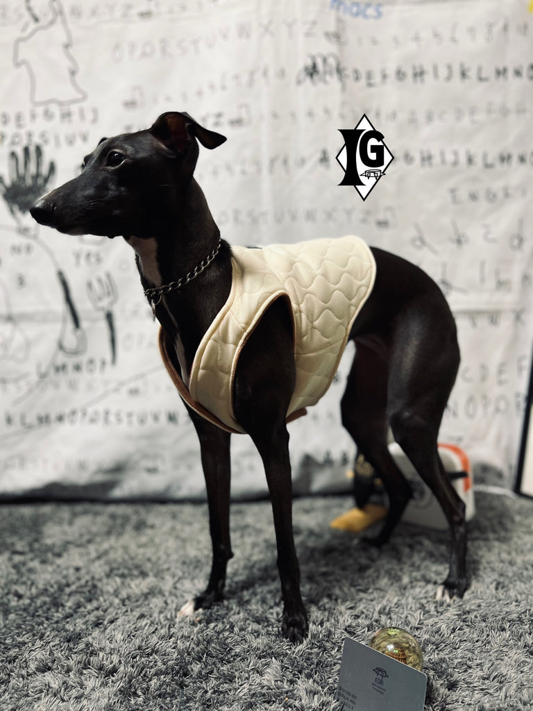"I'm so picky" Quilting Vest -No.1