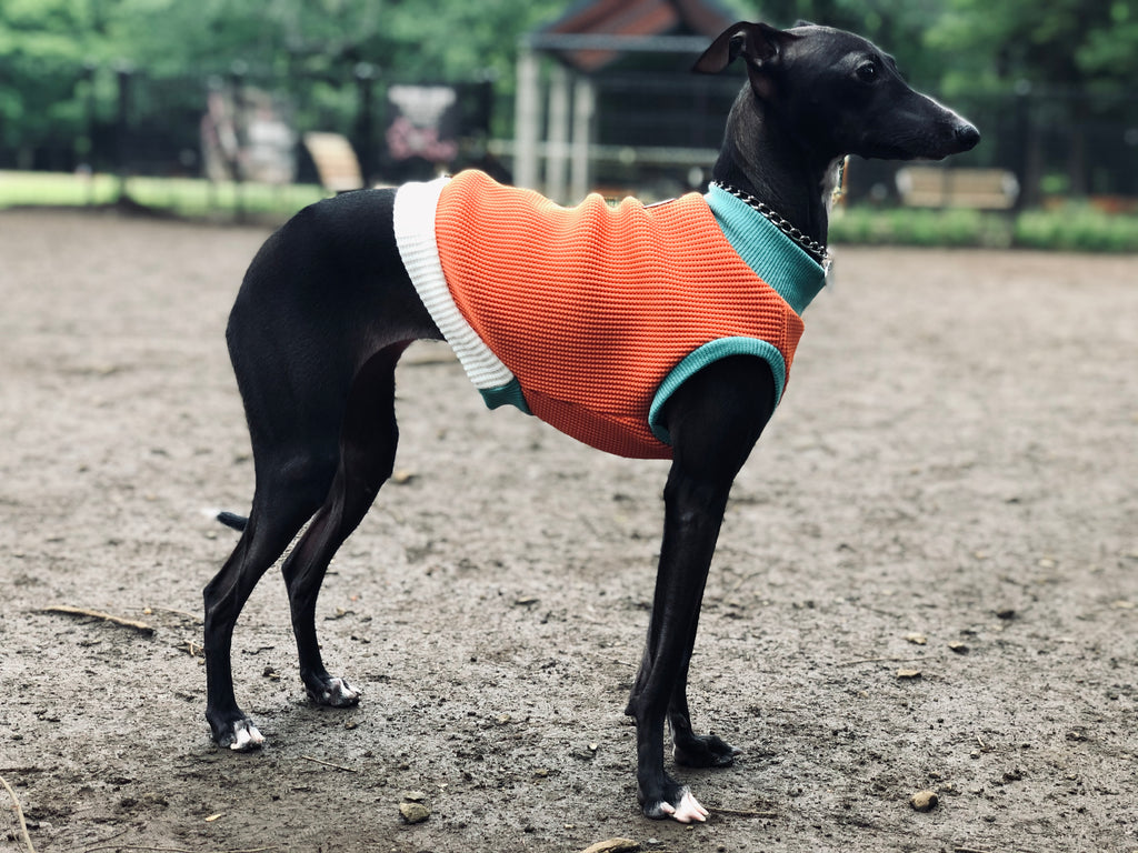 "A.M.10:00" No-sleeve-ORANGE