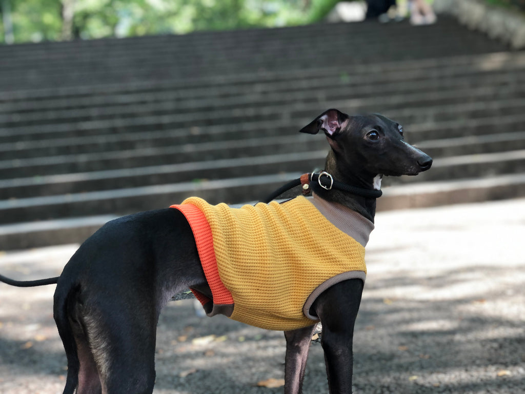 "A.M.10:00" No-sleeve-YELLOW