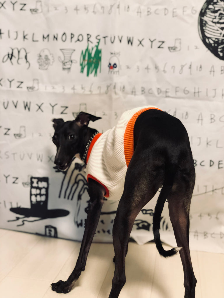 "A.M.10:00"No-Sleeve -WHITE