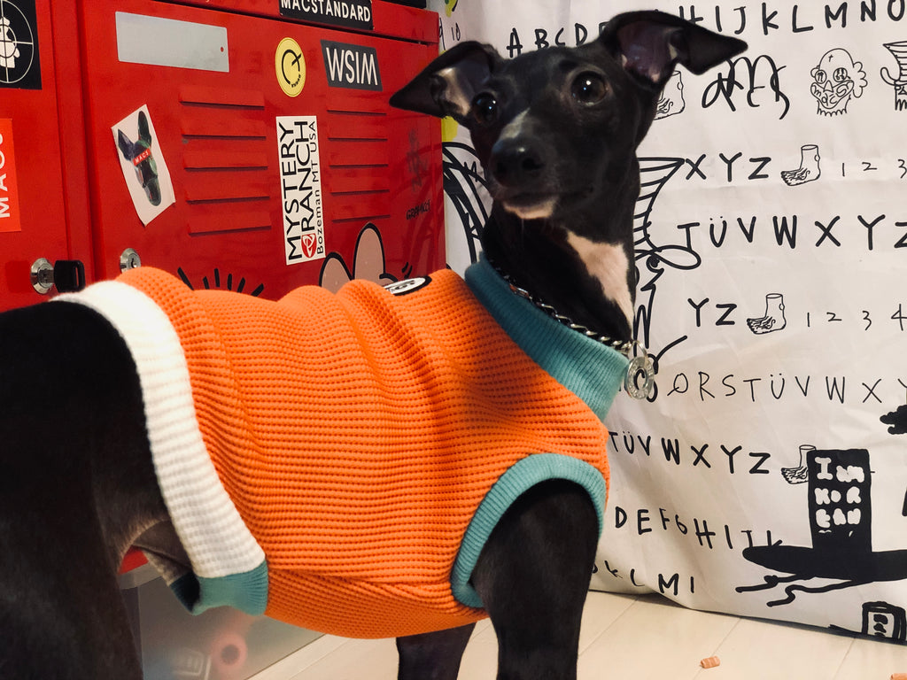 "A.M.10:00" No-sleeve-ORANGE