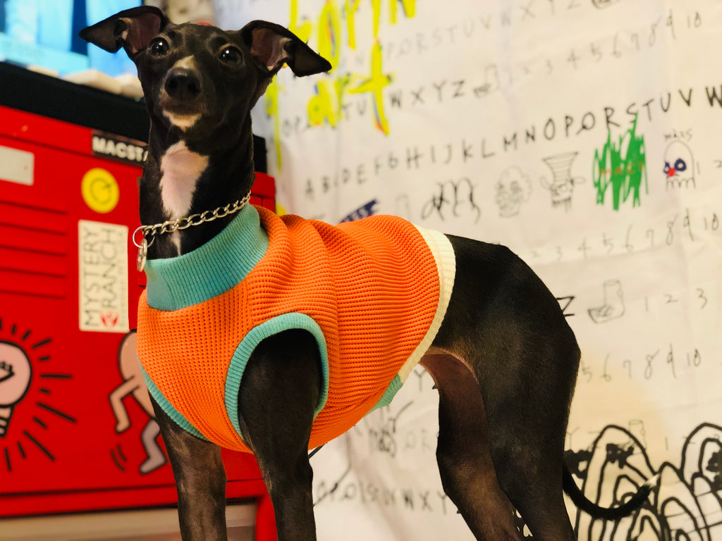 "A.M.10:00" No-sleeve-ORANGE