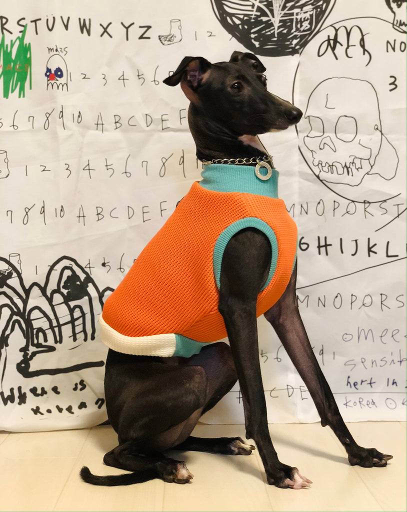 "A.M.10:00" No-sleeve-ORANGE