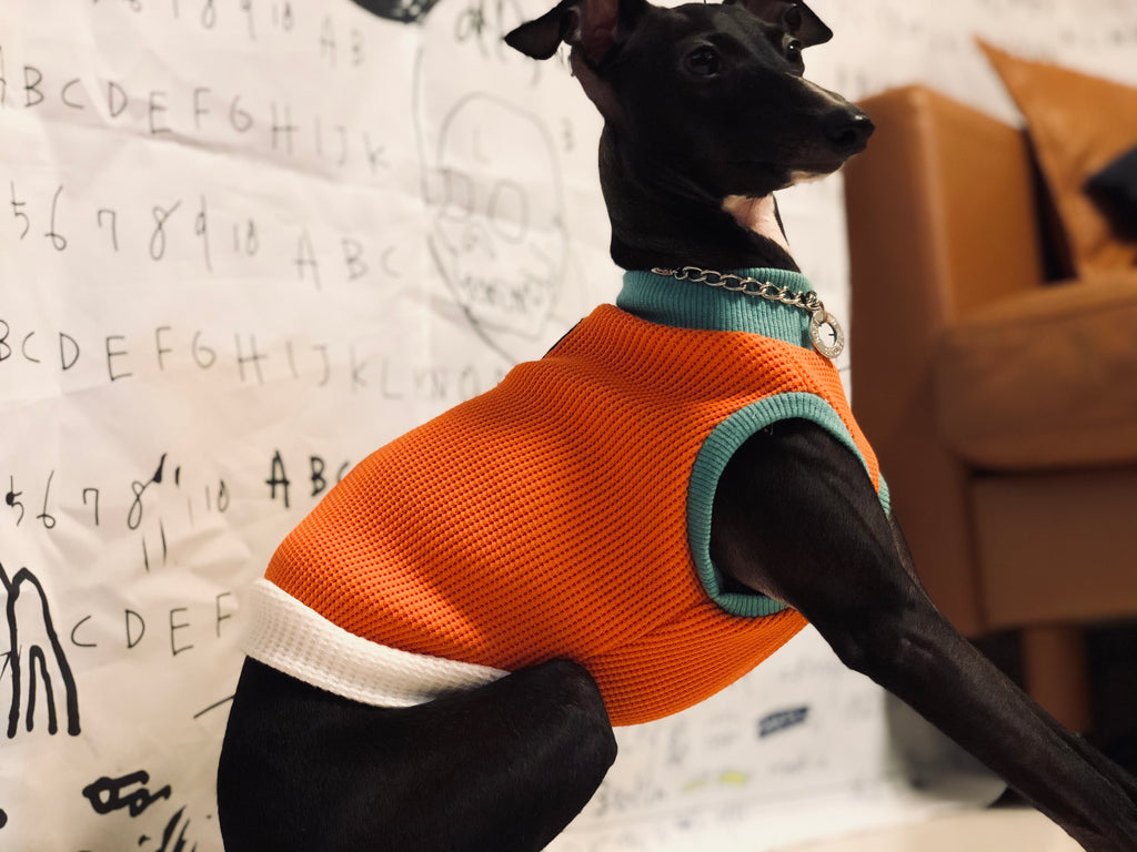 "A.M.10:00" No-sleeve-ORANGE