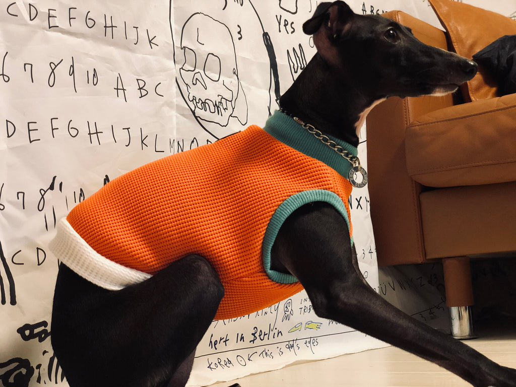 "A.M.10:00" No-sleeve-ORANGE