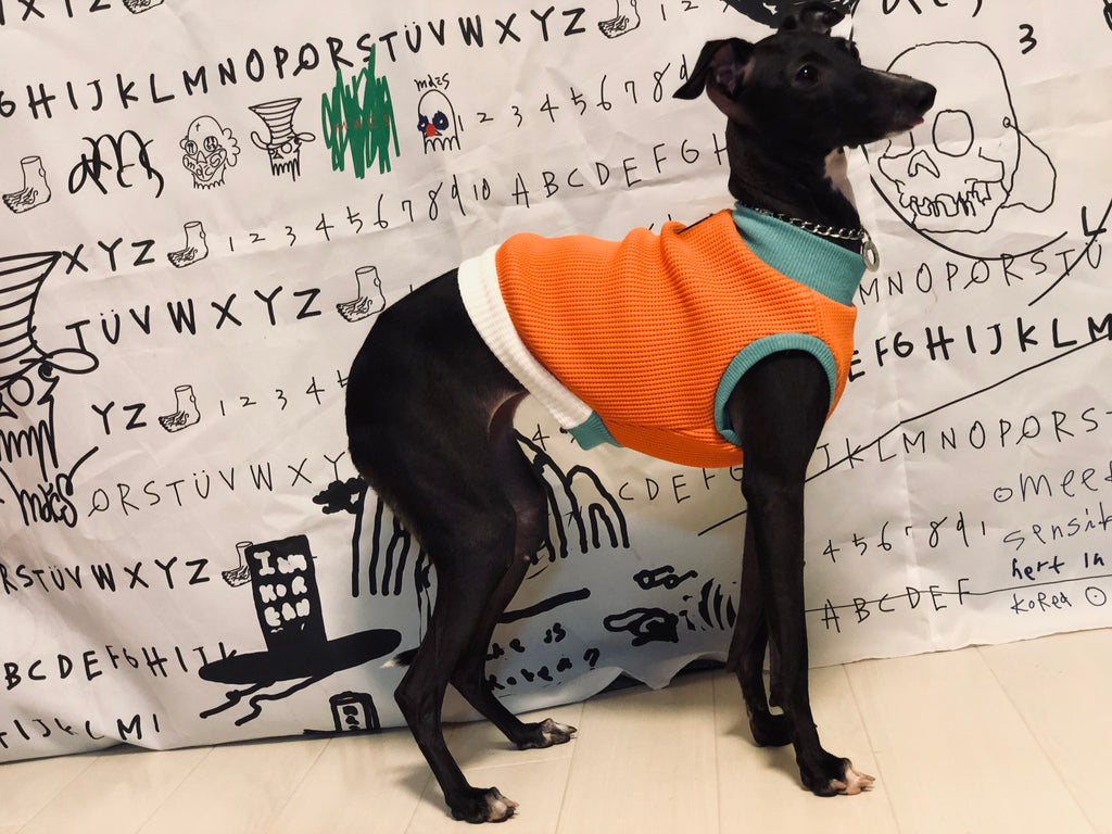 "A.M.10:00" No-sleeve-ORANGE