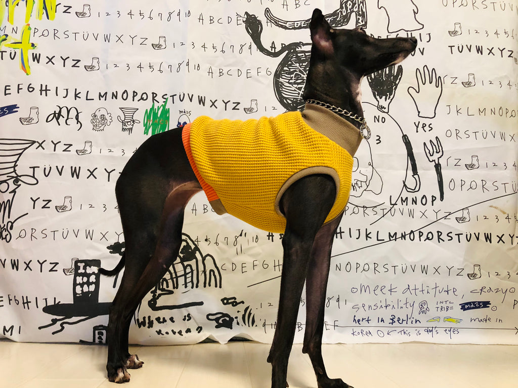 "A.M.10:00" No-sleeve-YELLOW