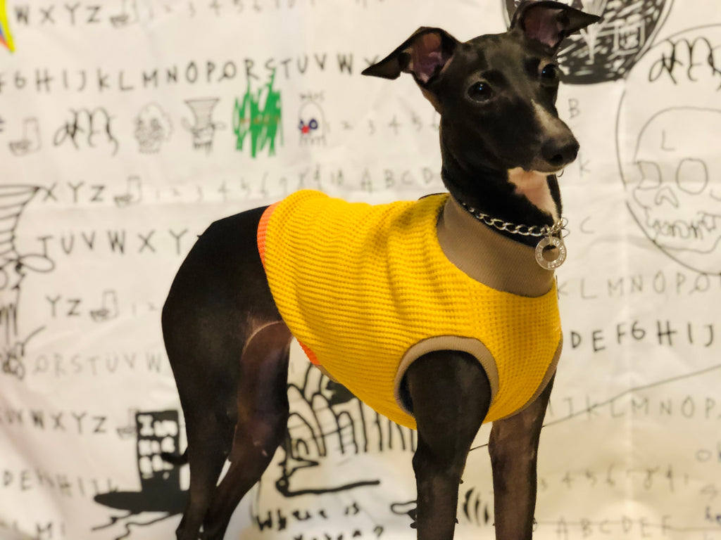 "A.M.10:00" No-sleeve-YELLOW