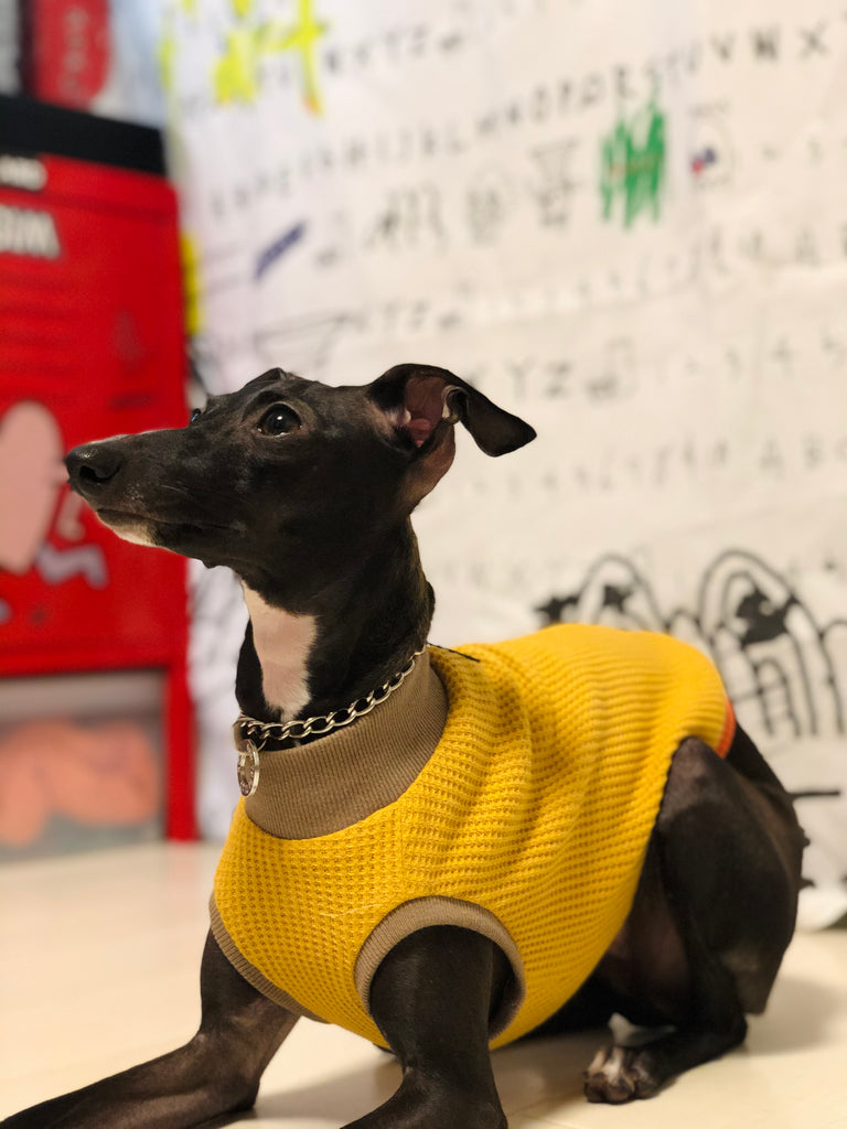 "A.M.10:00" No-sleeve-YELLOW