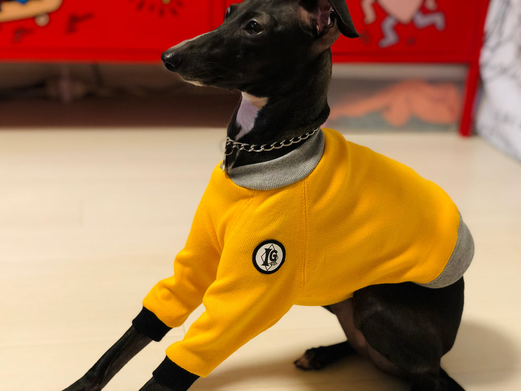 "A.M.10:00" T-Shirt -YELLOW