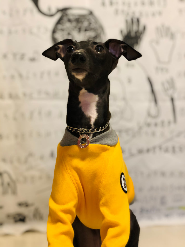 "A.M.10:00" T-Shirt -YELLOW