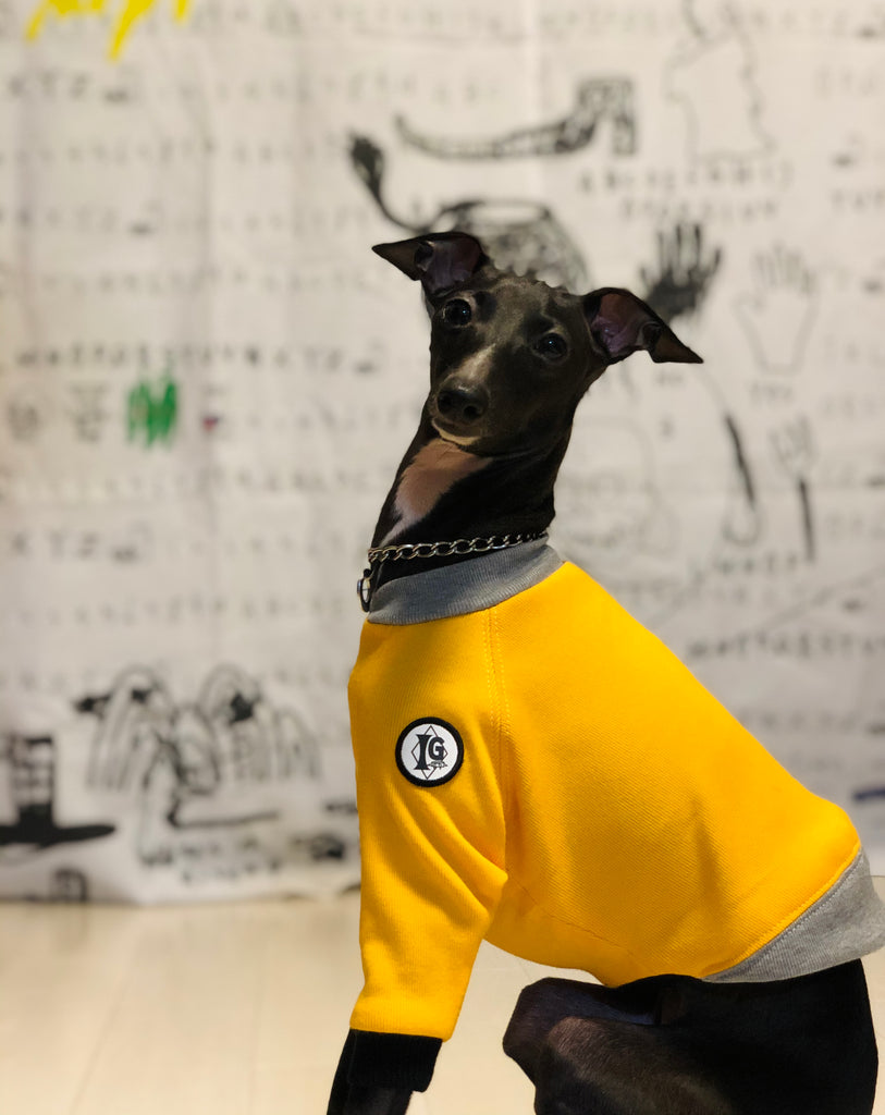 "A.M.10:00" T-Shirt -YELLOW