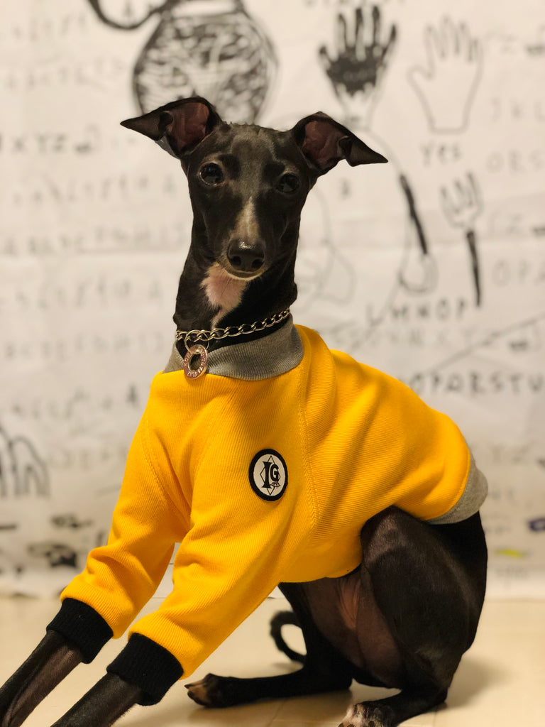 "A.M.10:00" T-Shirt -YELLOW