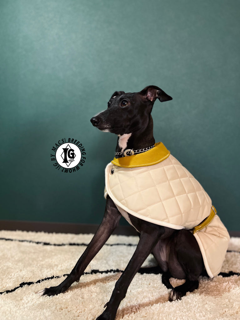 ”Stand-by(BFW?)” CAPE In BOA-BEIGE