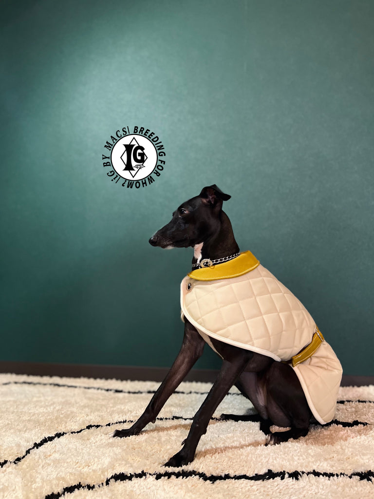 ”Stand-by(BFW?)” CAPE In BOA-BEIGE
