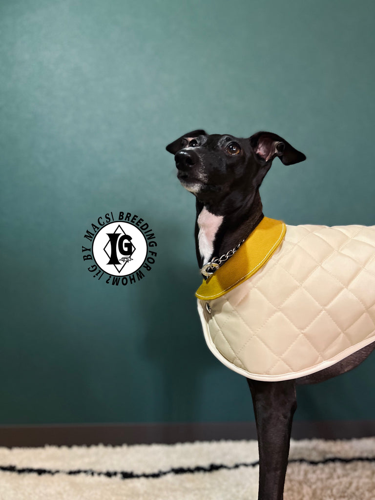 ”Stand-by(BFW?)” CAPE In BOA-BEIGE