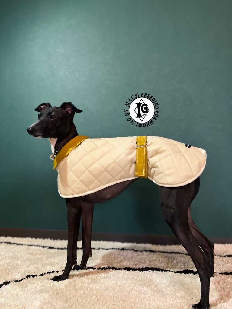 ”Stand-by(BFW?)” CAPE In BOA-BEIGE