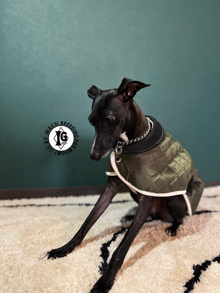 ”Stand-by(BFW?)” CAPE In BOA- KHAKI