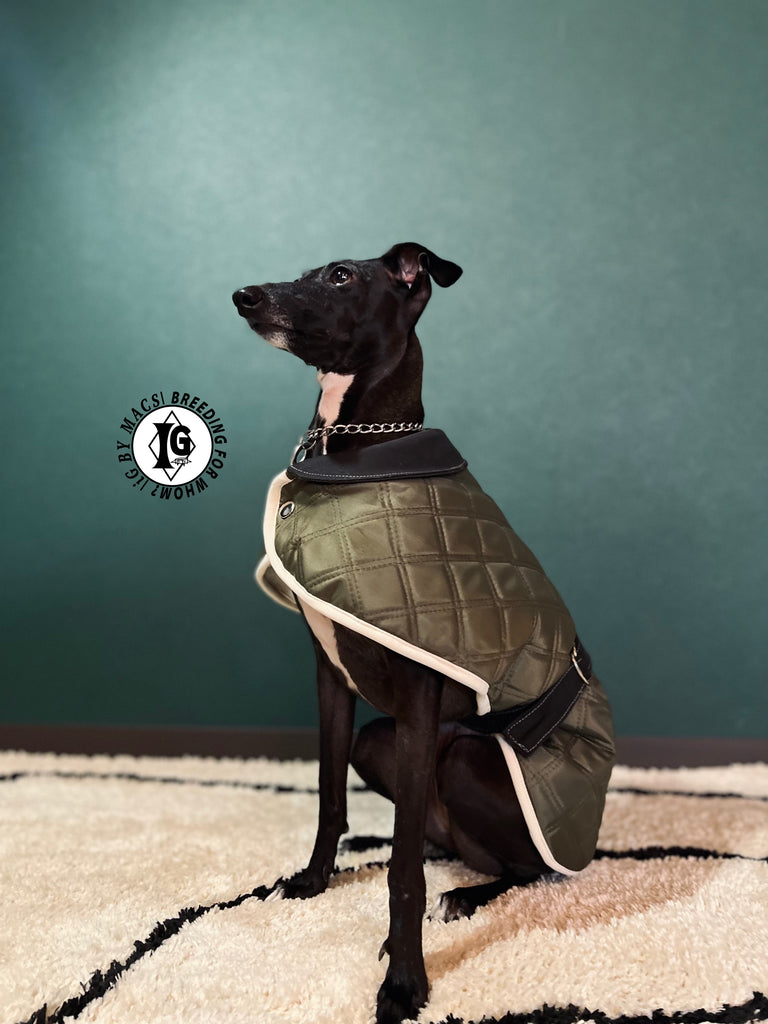 ”Stand-by(BFW?)” CAPE In BOA- KHAKI