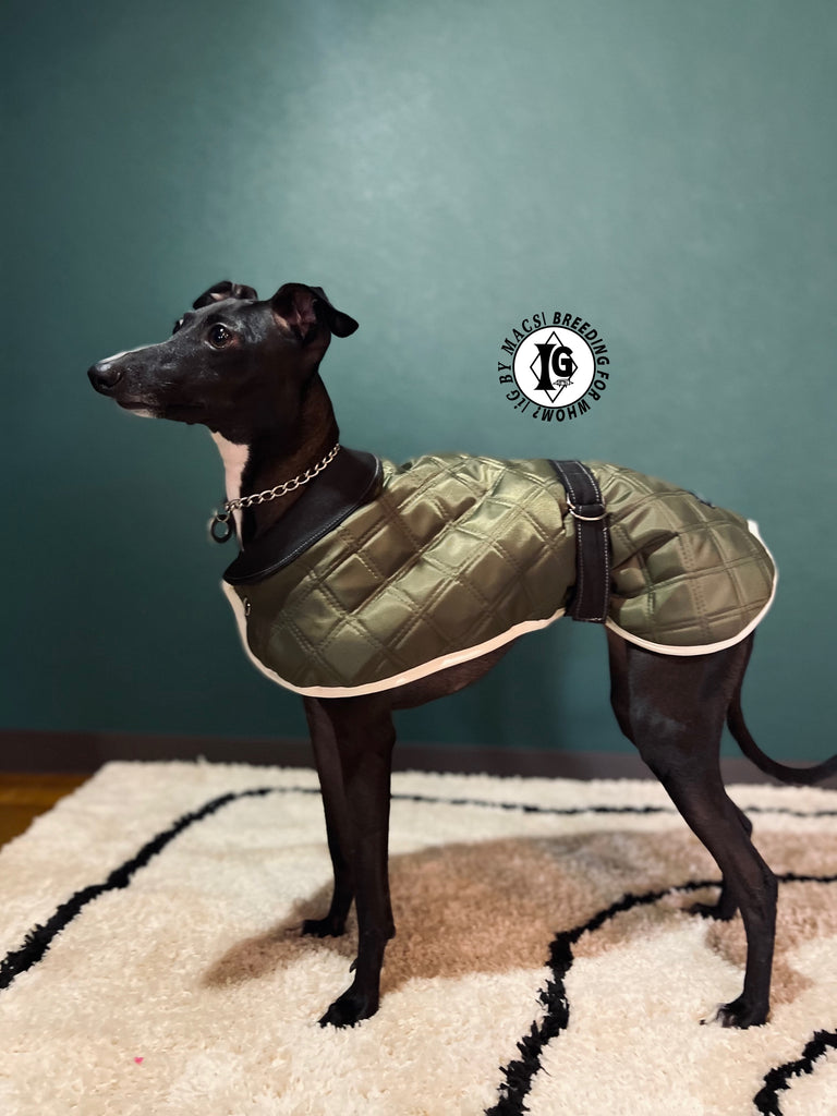 ”Stand-by(BFW?)” CAPE In BOA- KHAKI