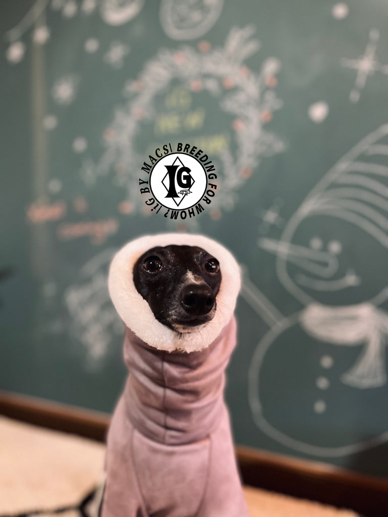 “Stand-by(BFW?)” Suede Rompers-Violet