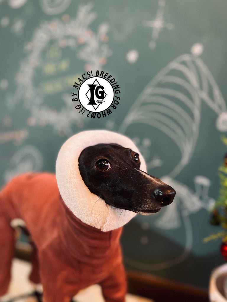 ”Stand-by(BFW?)” suede Rompers-RED