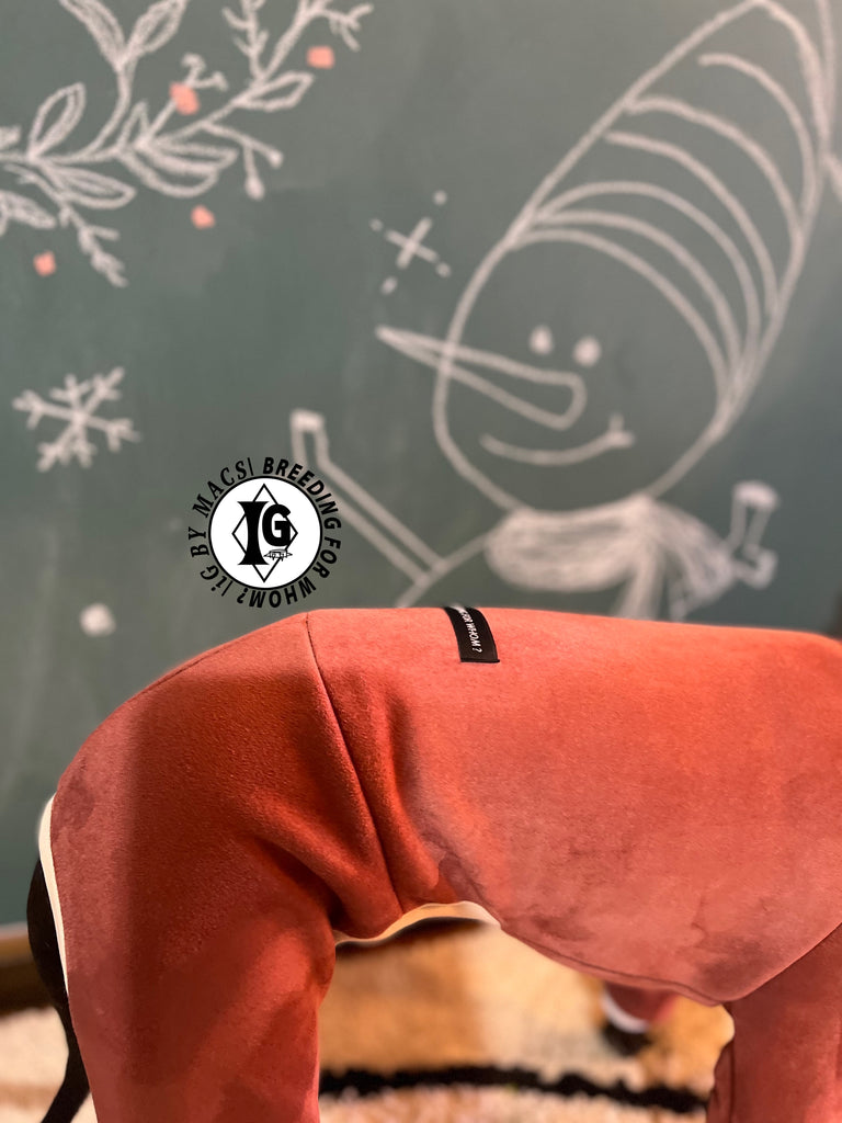 ”Stand-by(BFW?)” suede Rompers-RED