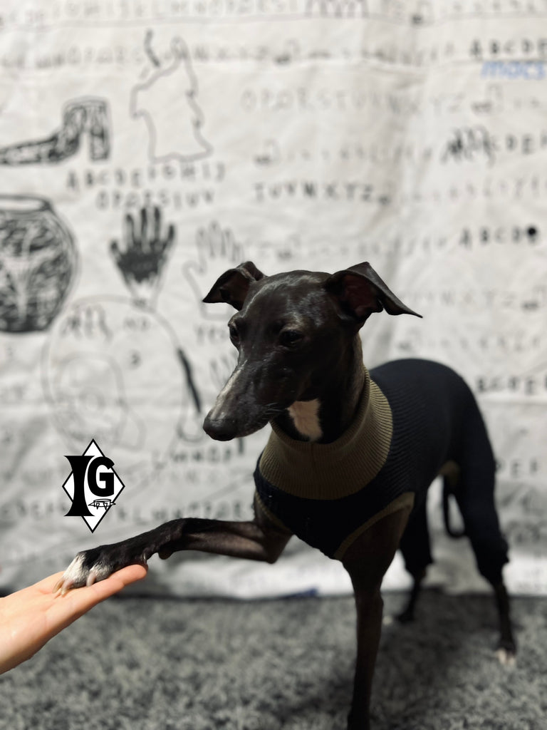 "I'm so picky" 2way Rompers-BLACK