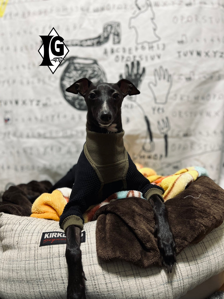 "I'm so picky" 2way Rompers-BLACK