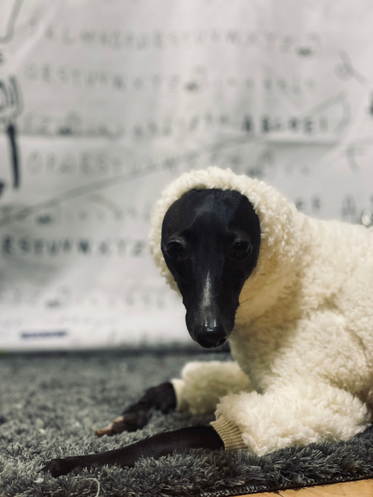 "Breeding for whom?" Rompers-WHITE