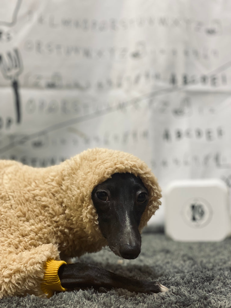 "Breeding for whom?" Rompers-BEIGE