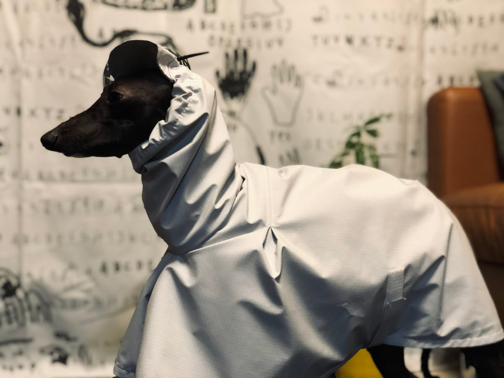 "Craving sunny days" RAINCOAT-GRAY