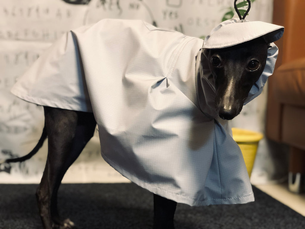 "Craving sunny days" RAINCOAT-GRAY