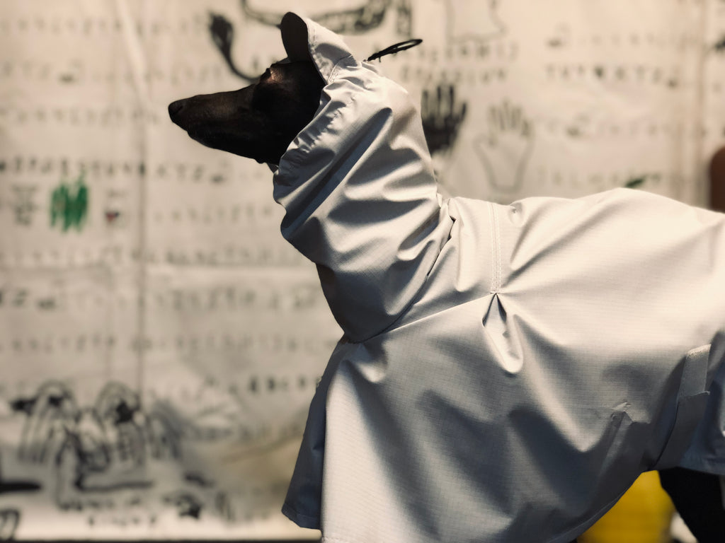 "Craving sunny days" RAINCOAT-GRAY