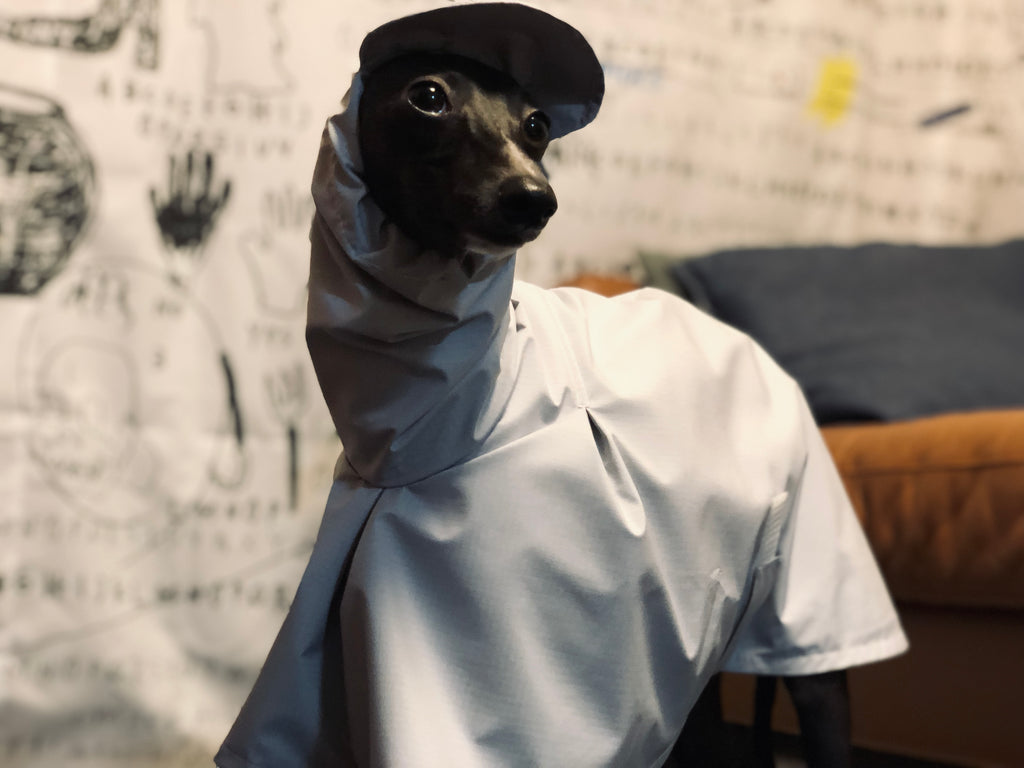 "Craving sunny days" RAINCOAT-GRAY