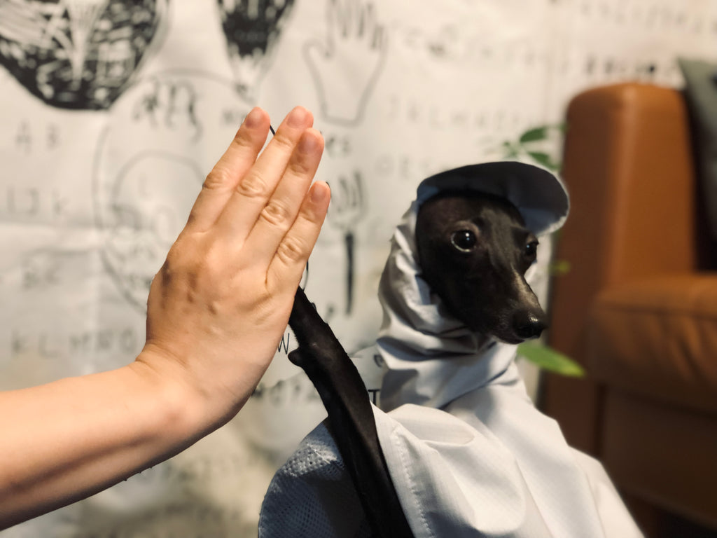 "Craving sunny days" RAINCOAT-GRAY