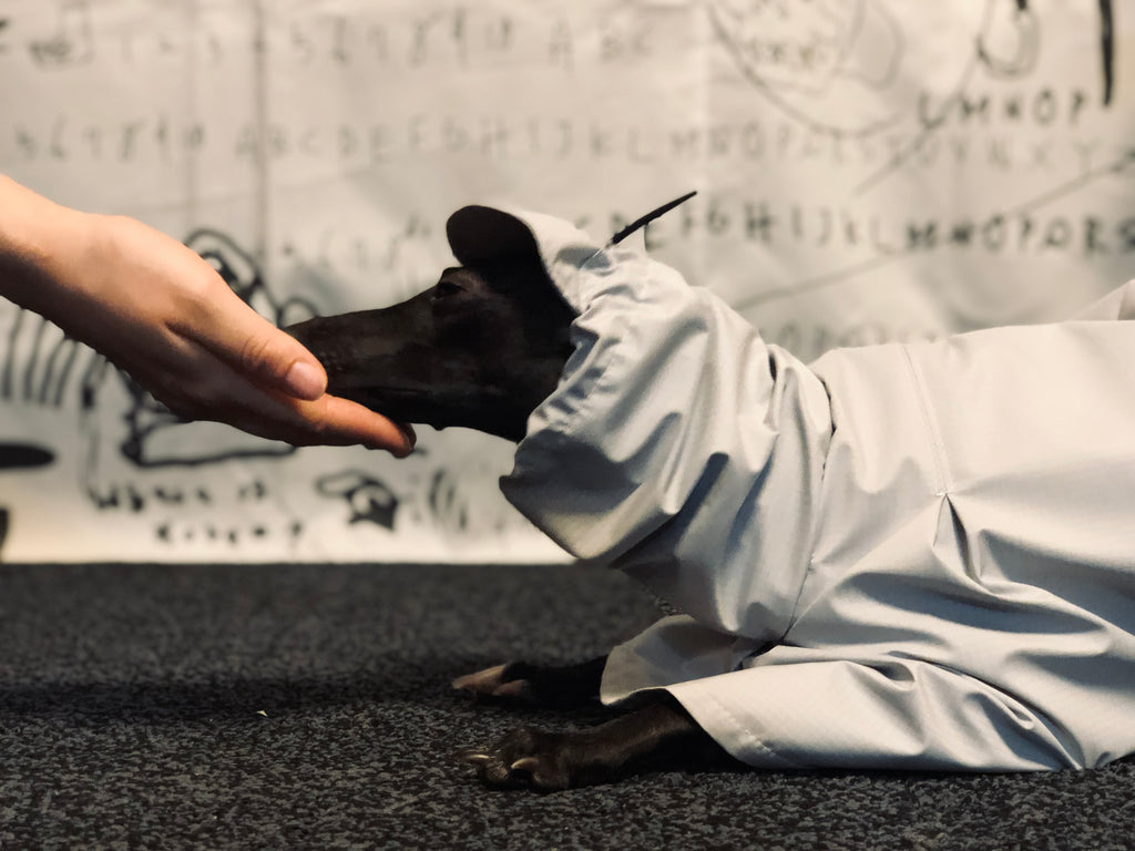 "Craving sunny days" RAINCOAT-GRAY