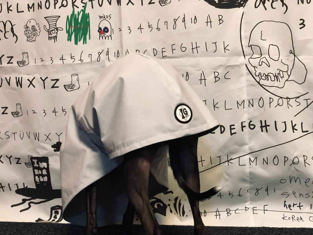 "Craving sunny days" RAINCOAT-GRAY