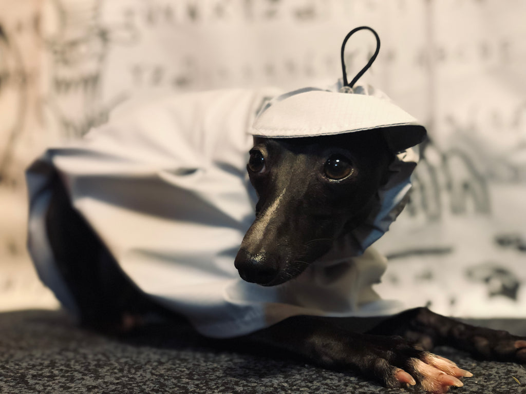 "Craving sunny days" RAINCOAT-GRAY