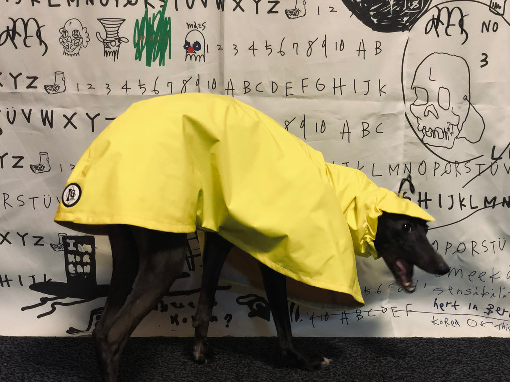 "Craving sunny days" RAINCOAT-YELLOW