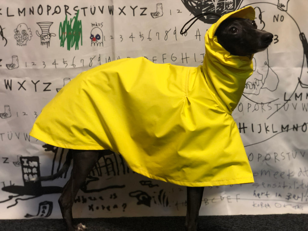 "Craving sunny days" RAINCOAT-YELLOW