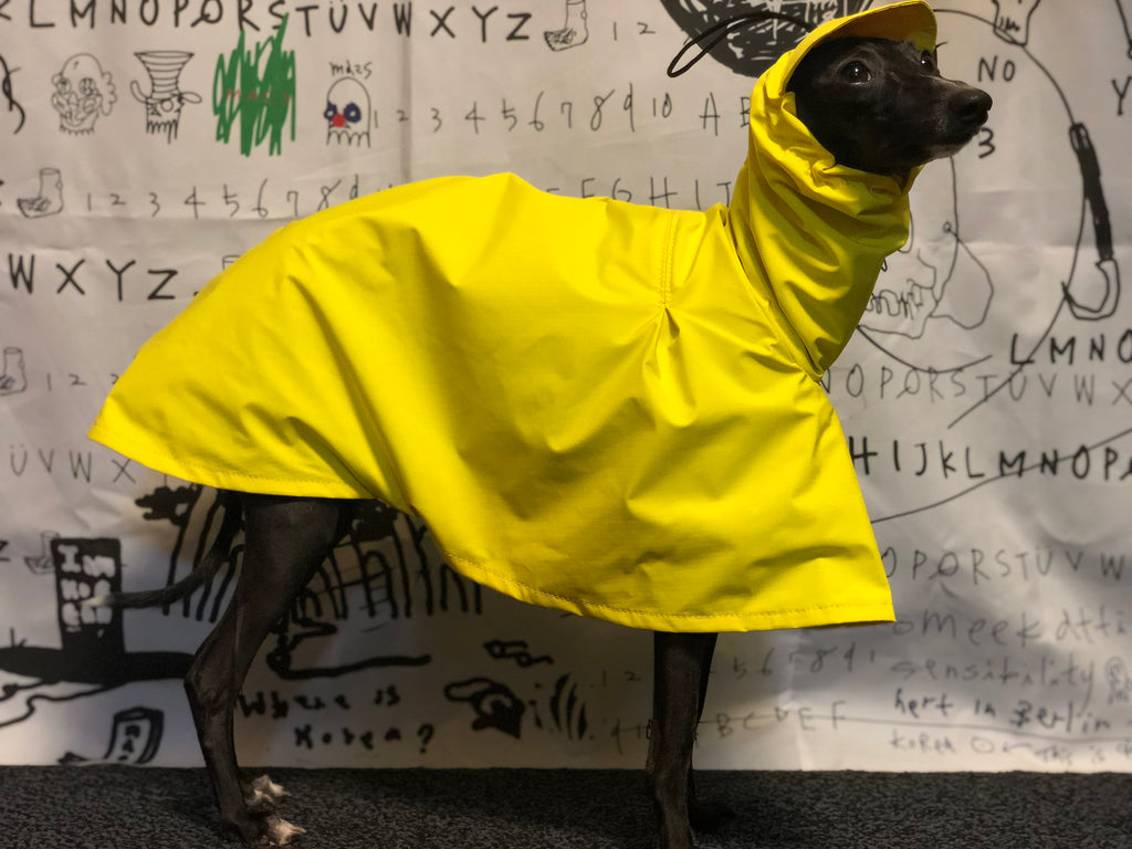 "Craving sunny days" RAINCOAT-YELLOW