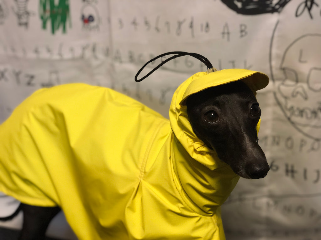 "Craving sunny days" RAINCOAT-YELLOW