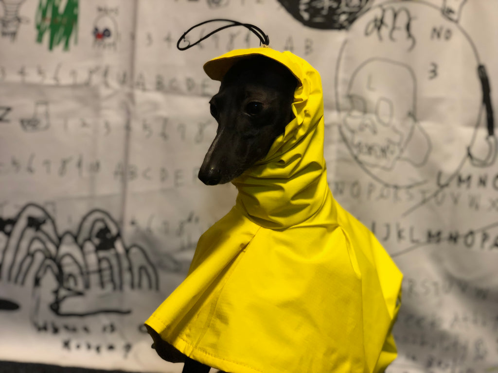 "Craving sunny days" RAINCOAT-YELLOW