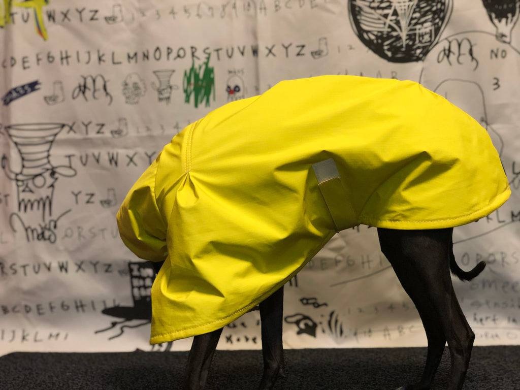 "Craving sunny days" RAINCOAT-YELLOW