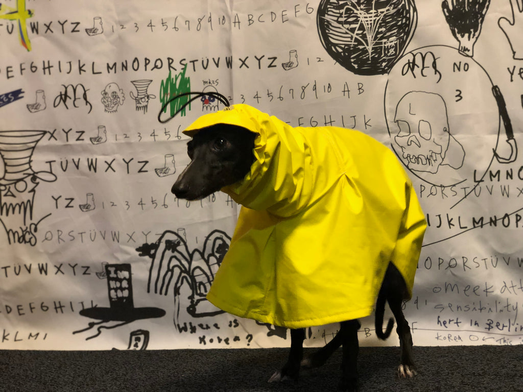"Craving sunny days" RAINCOAT-YELLOW