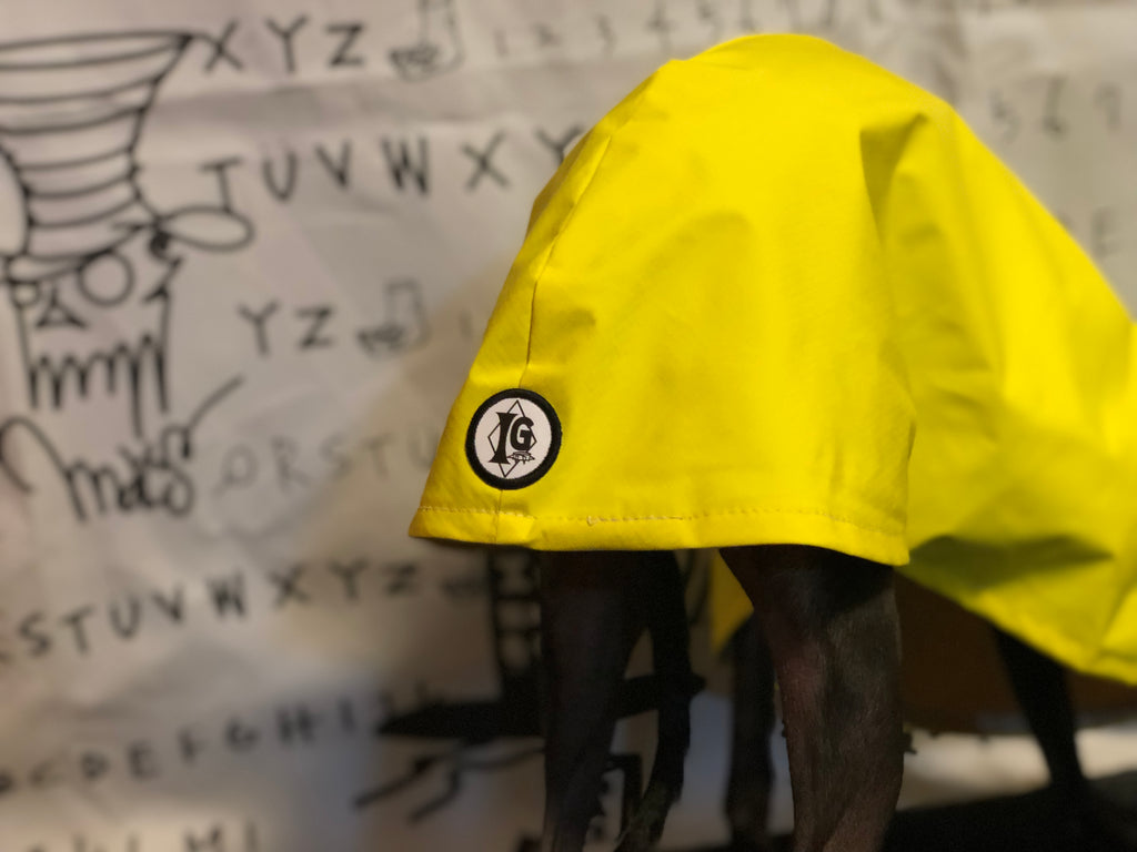 "Craving sunny days" RAINCOAT-YELLOW