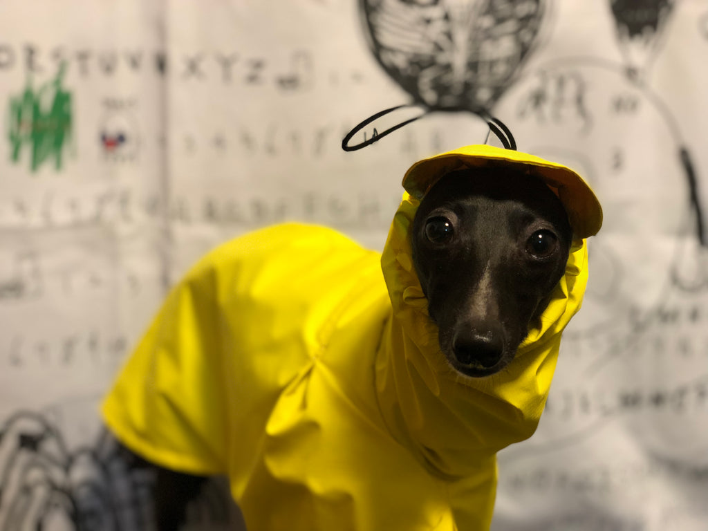 "Craving sunny days" RAINCOAT-YELLOW