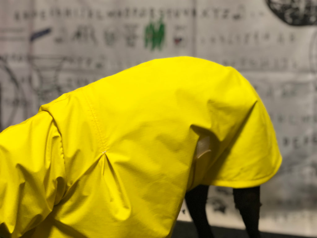 "Craving sunny days" RAINCOAT-YELLOW